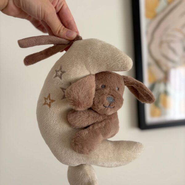 Personalized gift in a balloon - Playing dream